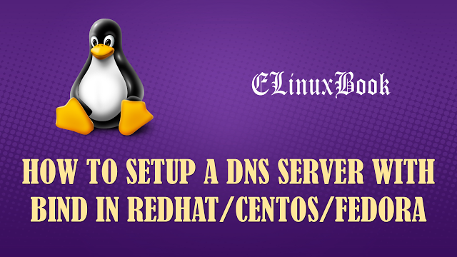 Setup Master DNS Server/Primary DNS Server with BIND in Linux