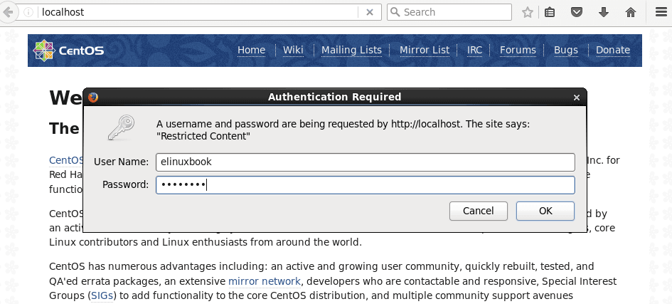 Apache Wen Server Basic Authentication