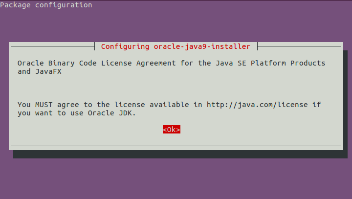 Installing Oracle Java (Java JDK)